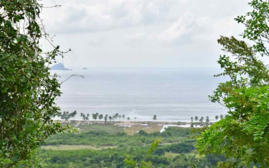 Land for Investment opportunity La Manzanilla