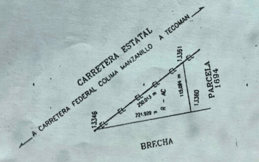 Predio Comercial de 25,685 M2 Entrada Tecomán Colima.