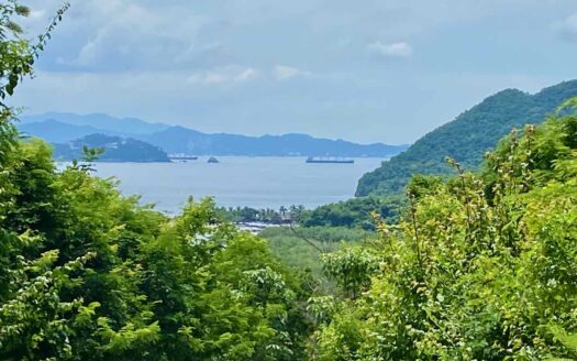 Lote Panorámico Juluapan “Lomas del Mar”
