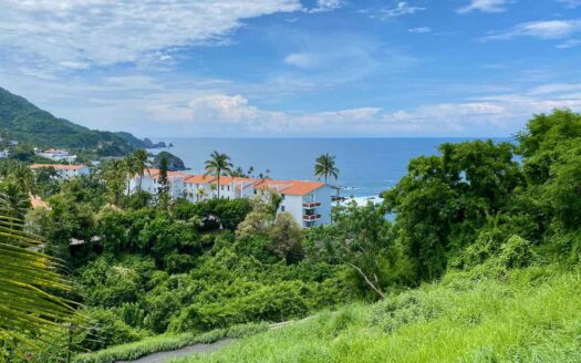 Lote Panorámico Juluapan “Lomas del Mar”